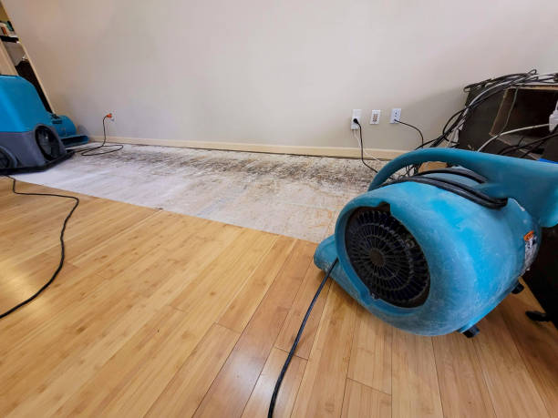 Professional Water Damage Repair technician working in Newman, CA